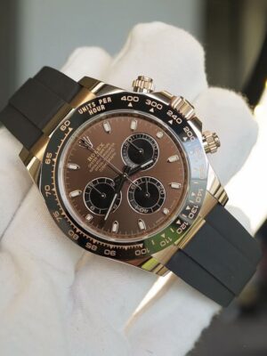 Rolex Daytona chocolat dials